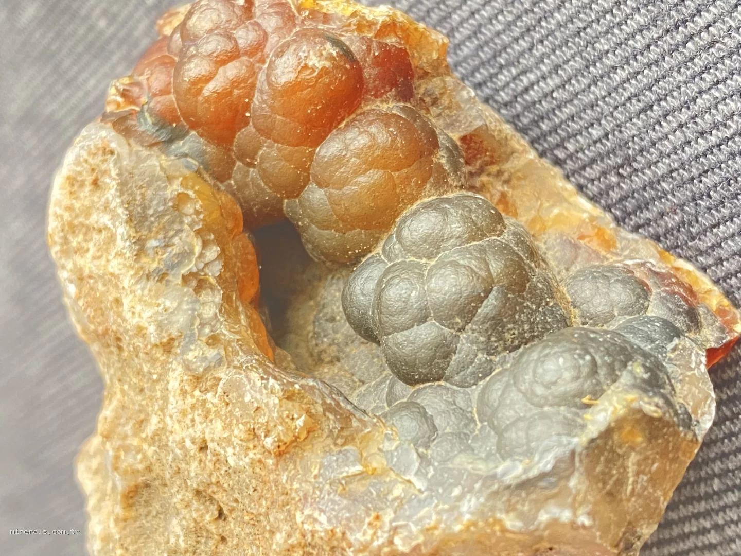 Botryoidal Agate